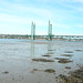 Sara Bridges Photo 16