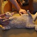 Jerome Sherman Photo 9
