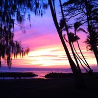 Ann Iverson Photo 28