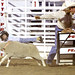 Kathleen Scheer Photo 9
