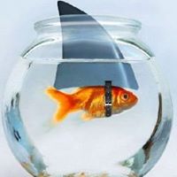 Faith Douglas Photo 23