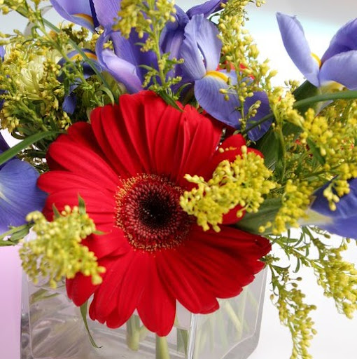 Barbara Goad Photo 24