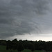 Lisa Timmons Photo 6