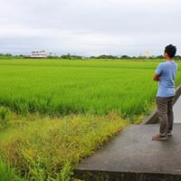 Ping Lin Photo 13