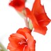 Melinda Masters Photo 30