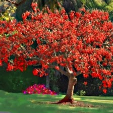 Julie O'Grady Photo 4