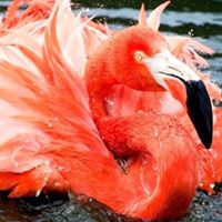 Julia Johns Photo 18