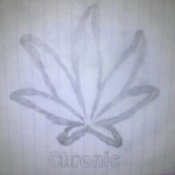 Alicia Parrish Photo 11