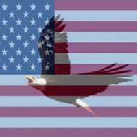 Mark Smallwood Photo 28