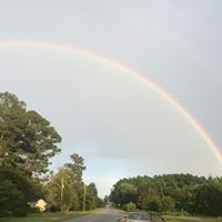 Tracy Mott Photo 12