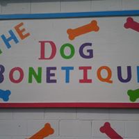 Stephanie Manchester Photo 1