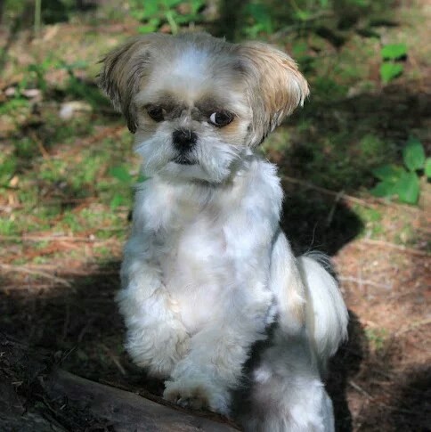 Cynthia Bauer Photo 18