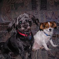 Cindy Carnahan Photo 19