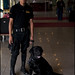 Steve Labrador Photo 5