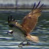 Jim Graves Photo 48