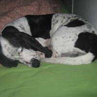 James Cooksey Photo 23