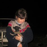 Lyn Carter Photo 11