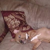 Ellen Hedrick Photo 4