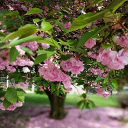 Jill Beck Photo 35 Jill Beck Photo 35