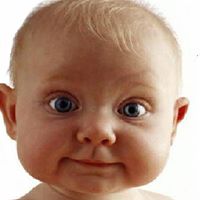 Donald Sheppard Photo 24