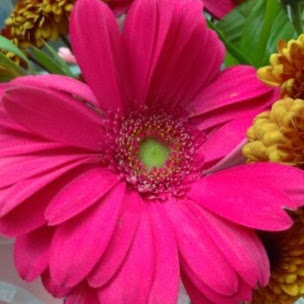 Wanda Richard Photo 17