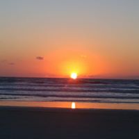 Judy Kent Photo 16