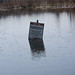 Bruce Macleod Photo 42
