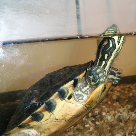 Catherine Finn Photo 12