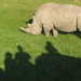 Karen Rust Photo 18