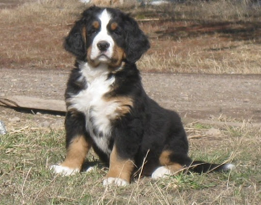 Jan Young Photo 20 Jan Young Photo 20