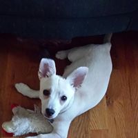 Debbie Higgs Photo 28