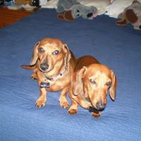 Rochelle Robinson Photo 10