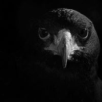 Bradley Spence Photo 16