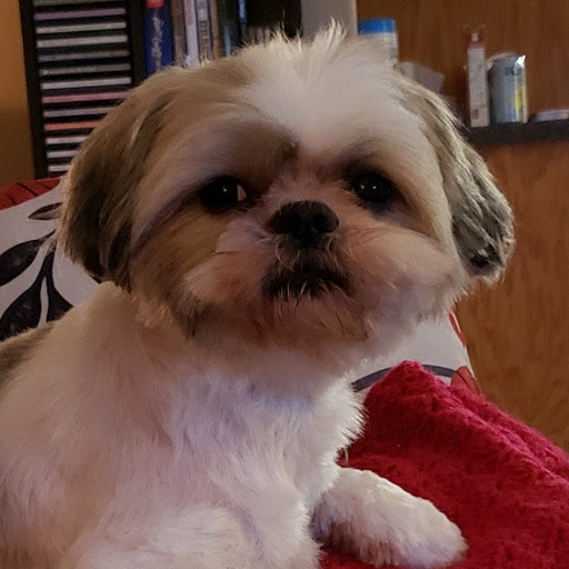 Christina Dean Photo 18