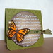 Kelly Holtz Photo 25