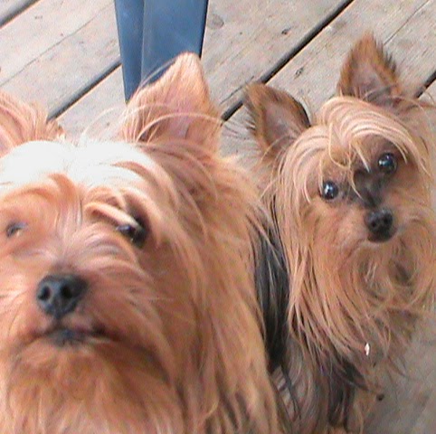 Colleen Oliver Photo 17