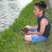 Marsha Harper Photo 12