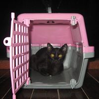 Cindy Hoff Photo 8