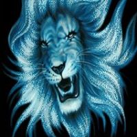 Jason Daily Photo 25