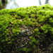Sally Moss Photo 14