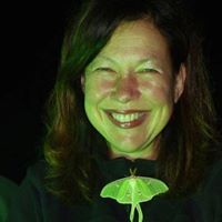 Sharon Lynn Photo 38