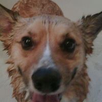 Heather Riley Photo 18