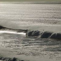 Rick Simons Photo 37