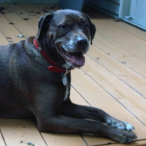 Joe Labarbera Photo 27