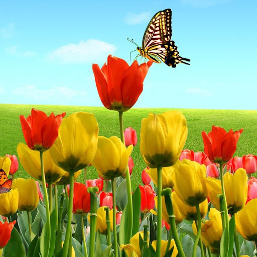 Candy Williams Photo 21