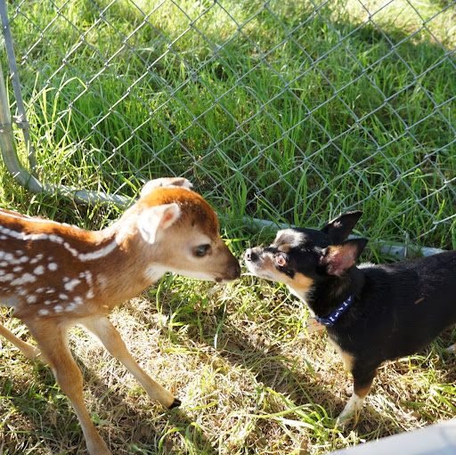 Michele Ingram Photo 20