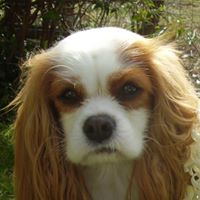 Brenda Mcmichael Photo 12