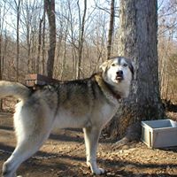 Debra Maloney Photo 26