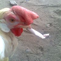 Jack Kelly Photo 31 Jack Kelly Photo 31