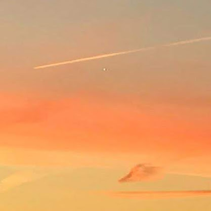 Riley Jensen Photo 32